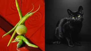 7 Popular Superstitions In India And Reason Behind Them; Eye Twitching, Hanging Lemon And Chilli, More
