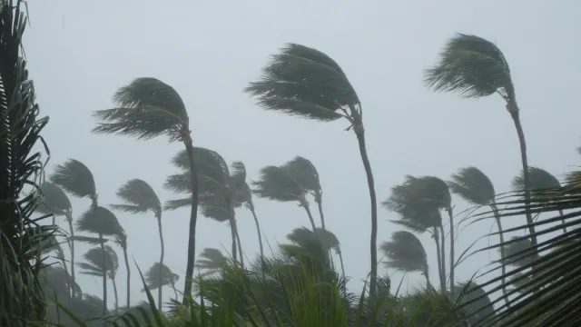 bengal-weather-kalbaisakhi-storm-likely-to-hit-5-southern-districts-in-next-48-hours-kolkata-to-see-rain-gusty-winds-forecast