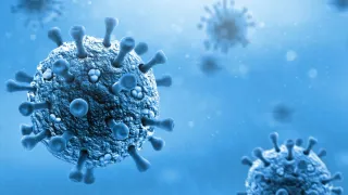 Hong Kong, Singapore On Alert After Fresh Covid Cases; Surge Witnessed Across Parts Of Asia
