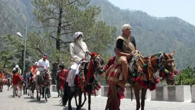 mata-vaishnodevi-yatra-unauthorised-pony-operator-booked-on-temple-track-in-katra