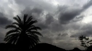 Jharkhand Weather: IMD Issues Rain, Storm Alert For Ranchi, Daltonganj, Other Districts For Next 2 Days | Check Forecast