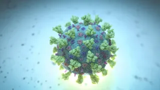 Covid-19 Spike Grips Parts Of Asia As Infections Surge In Hong Kong, Singapore, Thailand: Should India Be Concerned?