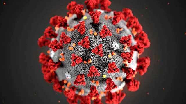 what-is-the-jn1-covid-variant-what-you-need-to-know-about-this-rising-variant-in-asia-symptoms