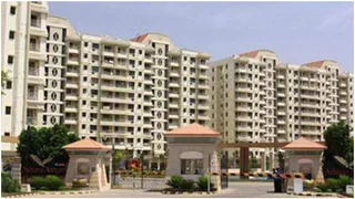 After Noida, Authorities In Lucknow Ban Pots On Balcony Ledges Citing Potential Hazards