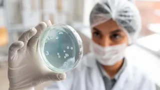 Microbes In NASA’s Cleanest Rooms? Scientists Just Found 26 Unknown Bacteria Species | Details Inside