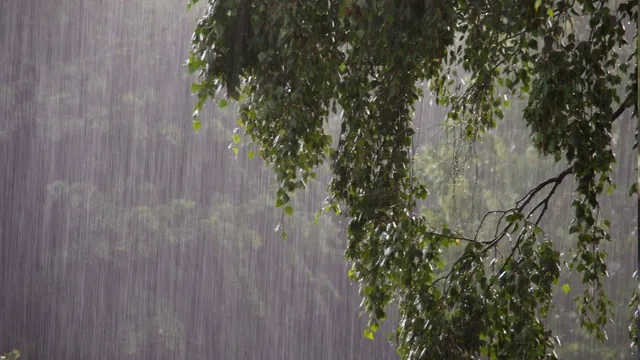 maharashtra-weather-imd-forecasts-intense-rains-in-konkan-region-pune-on-orange-alert-for-next-two-days
