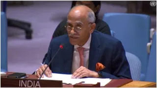 'To Preach After Such Behaviour Grossly Hypocritical': India Slams Pakistan At UNSC