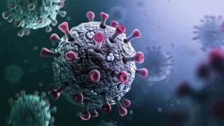 What Is HB.1.8.1? New COVID Sub-Variant Spreading Viral Infection; Know Its Characteristics, Symptoms