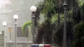 Why Monsoon 2025 Arrived Before Schedule In India? Know Factors Behind Early Monsoon Onset
