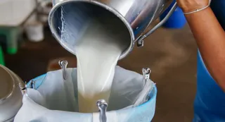 UP Govt Launches Statewide Campaign, Deploys Task Force To Combat Milk Adulteration