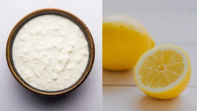 why-is-it-not-healthy-to-combine-lemon-with-curd-heres-the-truth