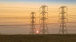 Chennai Power Cut On May 31: TANGEDGO Announces No Electricity In Several Areas On Saturday; Check List