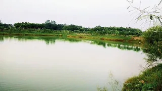 Greater Noida Authority To Revamp Ancient Pond, Green Zone, And Temple In Bhola Rawal Village For Eco-Tourism Destination