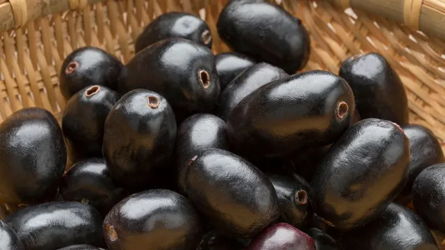 is-jamun-effective-in-managing-blood-sugar-levels-know-from-expert