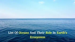 World Ocean Day 2025: List Of Oceans And Their Importance In Earth's Ecosystem- Know Some Fun Facts