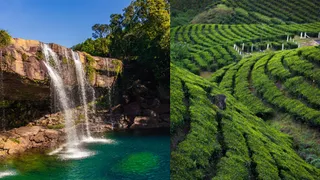 Shillong To Munnar: 5 Breathtaking Monsoon Destinations In India You Must Visit This Season