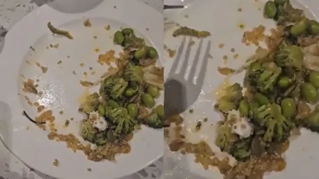 dead-caterpillar-found-in-salad-at-gurugram-restaurant-leaves-customer-disgusted-viral-video