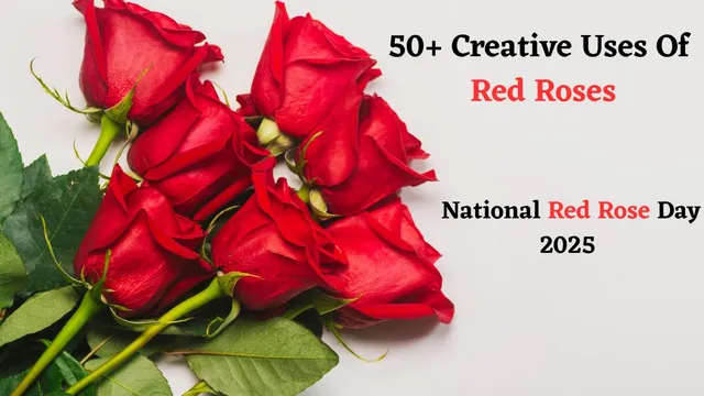 creative-uses-of-red-roses-to-know-on-national-red-rose-day-2025