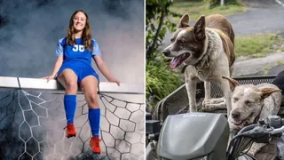 us-arkansas-girl-fatally-mauled-to-death-while-attempting-to-feed-30-to-40-neglected-dogs