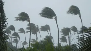 Bengal Weather: Heavy Rain, Thunderstorm In Kolkata, Multiple South Bengal Districts Over Next Two Days, Monsoon To Hit Soon; Forecast