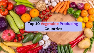 what-are-the-top-vegetable-producing-countries-and-their-key-crops