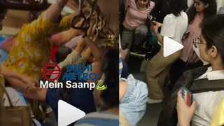 Delhi Metro Viral Video Shows Women Panicking Over Rumours Of Snake Inside Ladies Coach; DMRC Clarifies | Watch