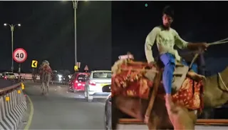 Hyderabad: Drunk Man Riding Camel On PVNR Expressway Sparks Panic, Rescued By Bystanders After Chase; Watch