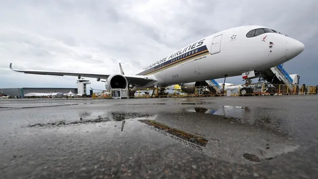 shellfish-horror-on-singapore-airlines-causes-emergency-landing-heres-what-actually-happened