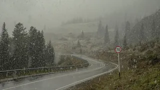 Uttarakhand Weather Update: Orange Alert For Heavy Rain In Dehradun, Nainital, Other Districts Till July 26 | IMD Forecast