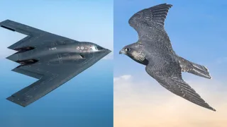 iran-israel-war-b-2-bomber-design-is-inspired-by-falcon-bird-gets-beds-microwave-for-40-hour-ops