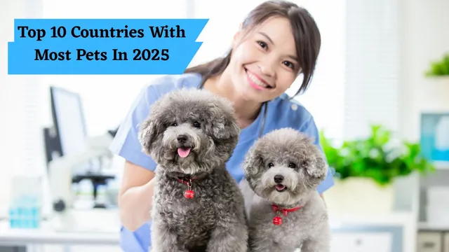 top-10-countries-with-most-pets-in-2025-japan-now-officially-has-more-pets-than-children