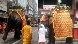 Ahmedabad Rath Yatra 2025: Elephants Go Out Of Control During Procession, Trigger Panic | Video