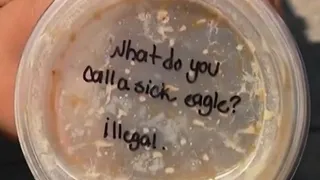 sick-eagle-is-called-illegal-starbucks-faces-backlash-after-texas-baristas-joke-sparks-racism-allegations