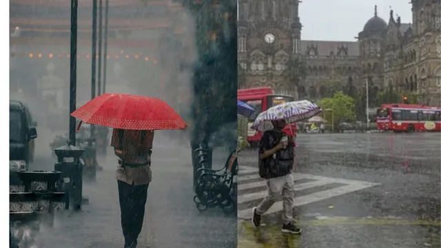 mumbai-weather-update-imd-issues-yellow-alert-for-heavy-rain-on-july-2-check-day-wise-forecast