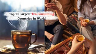 Which Are The Top 10 Largest Tea-Consuming Countries In The World?