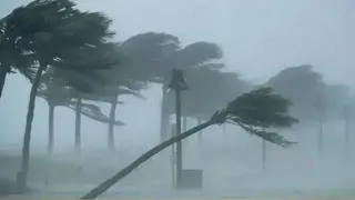 Gujarat Weather: Heavy Rain To Lash Navsari, Valsad, Bhavnagar, Other Districts; Scattered Showers To Continue Till July 15