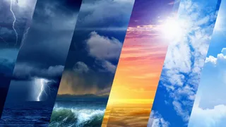 30+ Trending Climate And Environment Slangs Or Terms You Need To Know In 2025