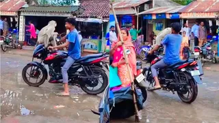 Biker Takes Langur For Ride On Handlebar, Instantly Regrets The Wild Move | Viral Video