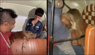 mumbai-man-laughs-as-pet-pitbull-mauls-11yearold-in-autorickshaw-arrested-video