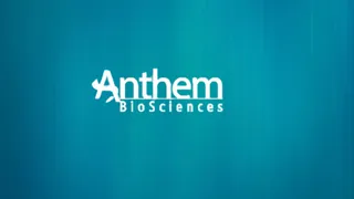 Anthem Biosciences Share Price: Stock Jump 27% On Market Debut; Check IPO Allotment Status, Other Details Here