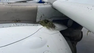Air India Flight Veers Off Runway During Landing At Mumbai Airport, Aircraft Suffers Damage; All Passengers Disembarked
