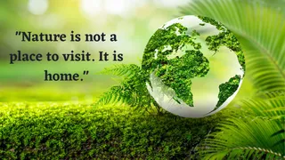 quotes-to-protect-earths-beauty-and-creatures-on-world-nature-conservation-day