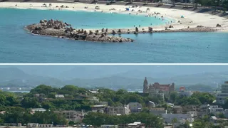 Tsunami Strikes Russia And Japan After Powerful 8.8-Magnitude Earthquake In Pacific Ocean | VIDEO