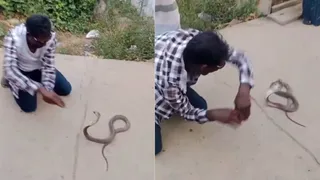 Man Plays With Snake In Bizarre Viral Video, Internet Calls It 'Peak Unemployment' Moment