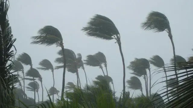 bengal-weather-kolkata-weather-over-weekend-heavy-rain-alert-in-5-northern-districts-till-august-7-forecast