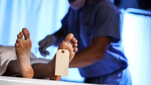 berlin-startup-tomorrow-bio-cryopreservation-immortal-2-crore-plan-that-will-freeze-your-dead-body-and-might-revive-you-later