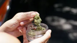 Hyderabad: Women Among 32 Medical College Students Caught Consuming Ganja In Hostel; Other Colleges Under Scanner