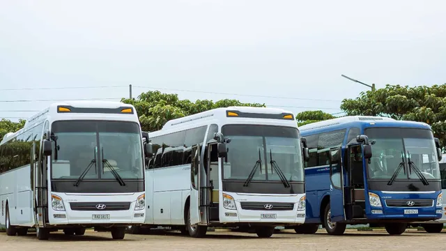 lucknow-special-bus-upsrtc-plans-over-900-buses-activates-passenger-helpline-ahead-of-rakhi-details