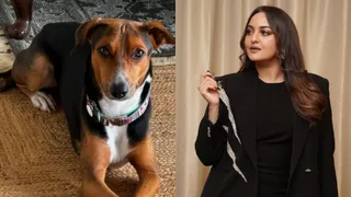 'Soulless': Sonakshi Sinha Slams Supreme Court's Decision To Remove Stray Dogs, Says 'Vaccinating Is The Real Solution...'