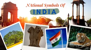 List Of 17 National Symbols Of India And Their Meanings: From National Anthem To The State Emblem
